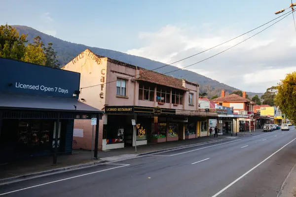 Jesienne liści w Warburton Australia — Zdjęcie stockowe