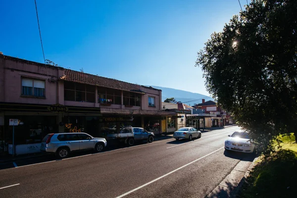 Jesienne liści w Warburton Australia — Zdjęcie stockowe