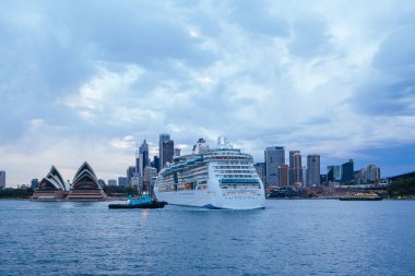 Sydney Liman Köprüsü Açık Bir Gün