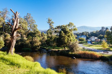 Warburton Avustralya 'da Yarra Nehri Manzarası