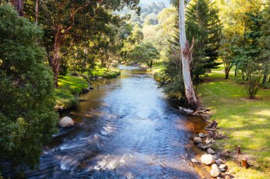 Warburton Avustralya 'da Yarra Nehri Manzarası