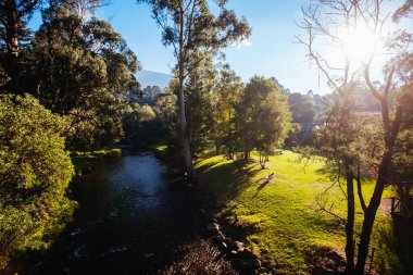 Warburton Avustralya 'da Yarra Nehri Manzarası