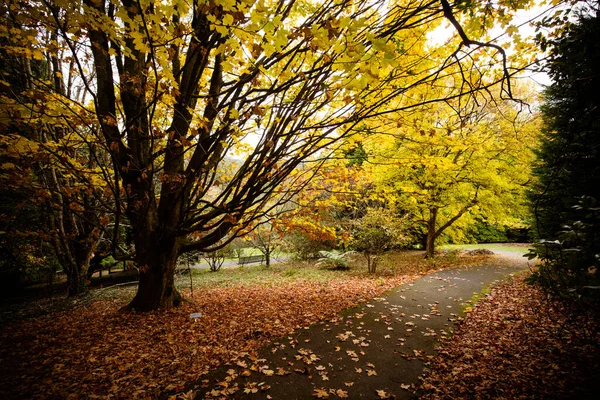 Jardines de Pirianda en Victoria Australia — Foto de Stock