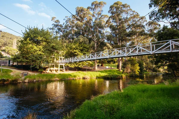 Swing Bridge in Warburton Australia — Stock Photo, Image