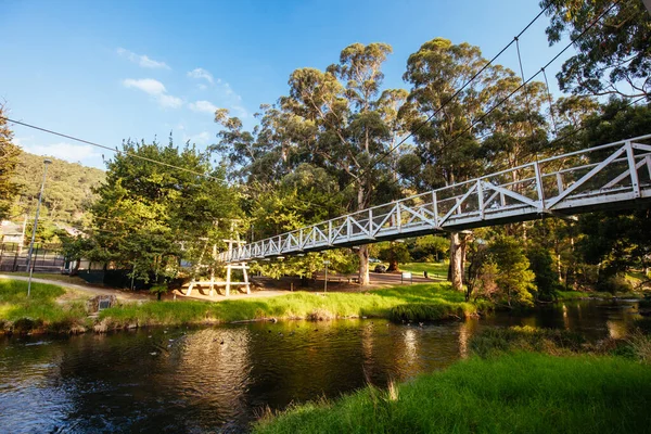 Swing Bridge in Warburton Australia — Stock Photo, Image