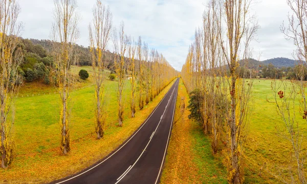 Gould Memorial Drive en Marysville, Australia —  Fotos de Stock