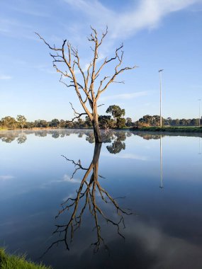 Foggy Melbourne Morining in Australia