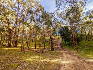 Avustralya 'da Bolluk Gorge Parklands
