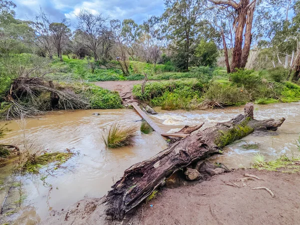 Veel Gorge Parklands in Australië — Stockfoto
