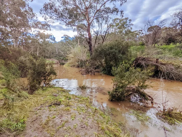 Veel Gorge Parklands in Australië — Stockfoto