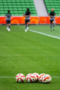 2015 Asya Kupası Eğitimi