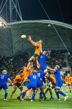 2021 Wallabies vs France Test Series - Second Test