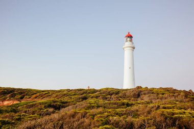 Avustralya 'daki Split Point Deniz Feneri