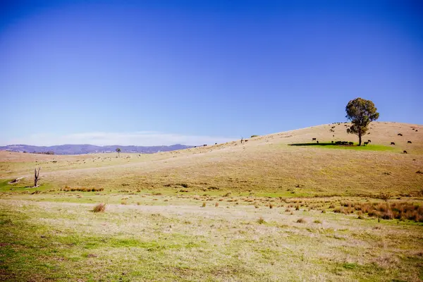 Yarra Valley Landschap in Australië — Stockfoto