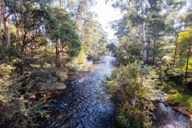 Millgrove Avustralya 'da Yarra Nehri Manzarası