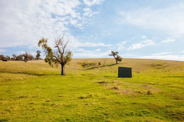 Lilydale 'den Avustralya' daki Warburton Demiryolu Sahası 'na