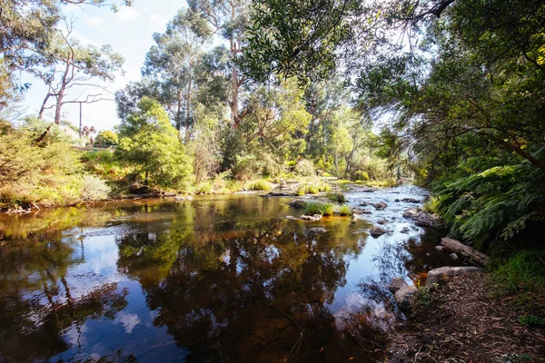 Yarra River View v Millgrove Austrálie — Stock fotografie