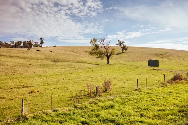 Lilydale para Warburton Rail Trail Paisagem na Austrália — Fotografia de Stock