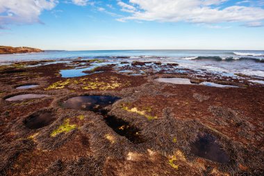 Blairgowrie Avustralya 'daki Monforts Plajı