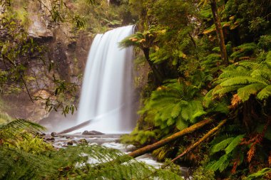 Victoria Avustralya 'da Hopetoun Falls Burnu Otway