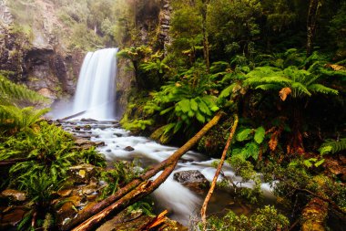 Victoria Avustralya 'da Hopetoun Falls Burnu Otway