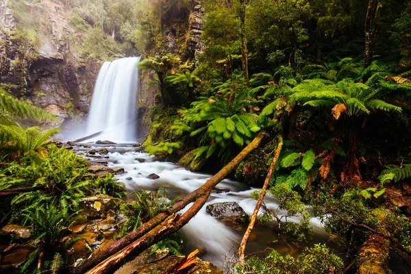 Hopetoun Falls Cape Otway in Victoria Australien — Stockfoto