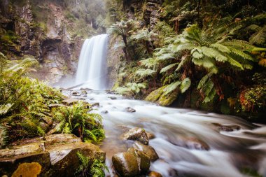 Victoria Avustralya 'da Hopetoun Falls Burnu Otway