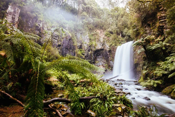 Hopetoun Falls Cape Otway Victoria Ausztráliában — Stock Fotó