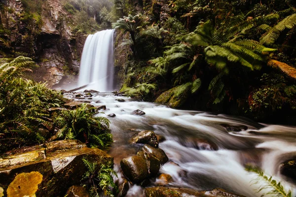 Hopetoun Falls Cape Otway in Victoria Australia — стокове фото