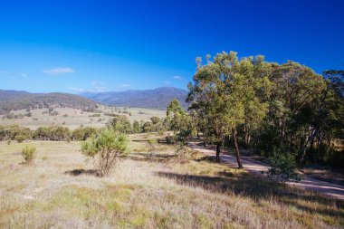 Avustralya 'da Tom Groggin Manzarası