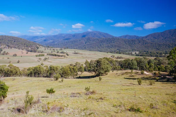 Tom Groggin Landscape in Australia — Stock Photo, Image