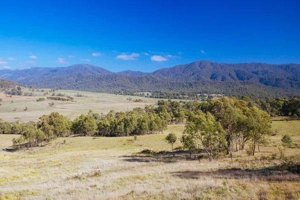 Tom Groggin Paisagem na Austrália — Fotografia de Stock