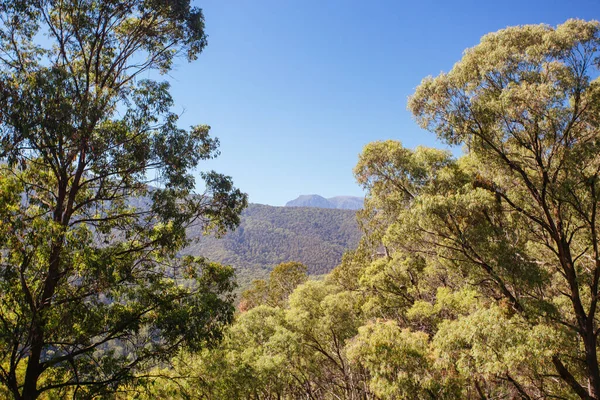 Scammells Ridge Lookout in Australien — Stockfoto