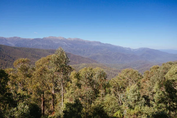 Scammells Ridge Lookout i Australien — Stockfoto