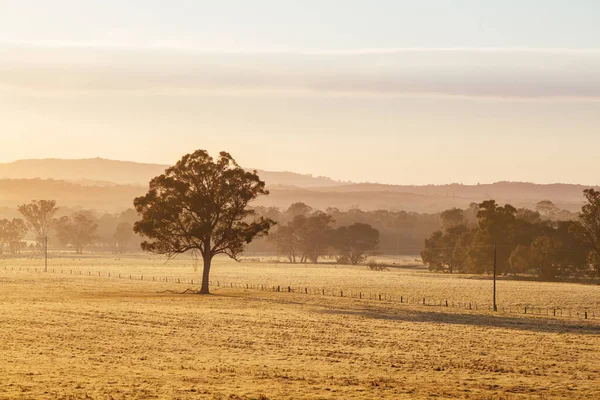 本迪戈附近日落时的澳洲乡村道 — 图库照片