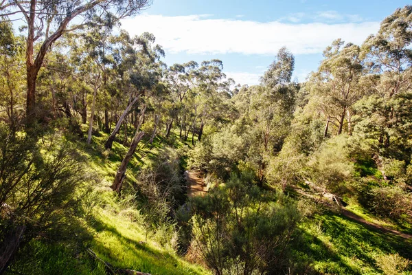 Veel Gorge Parklands in Australië — Stockfoto