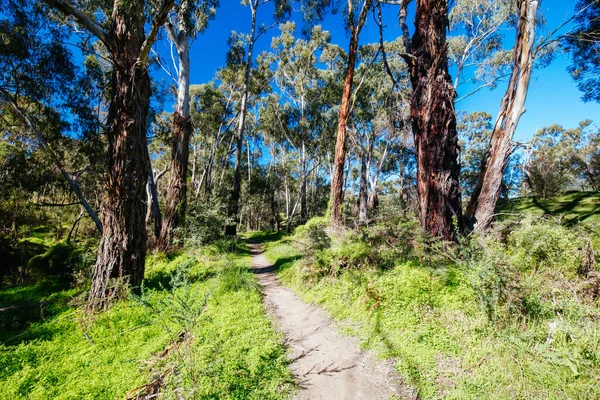 Plenty Gorge Parklands en Australia — Foto de Stock