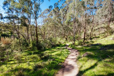 Avustralya 'da Bolluk Gorge Parklands