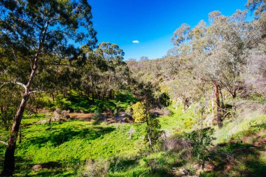 Avustralya 'da Bolluk Gorge Parklands