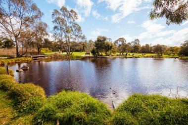 Melbourne Avustralya 'daki Darebin Parklands
