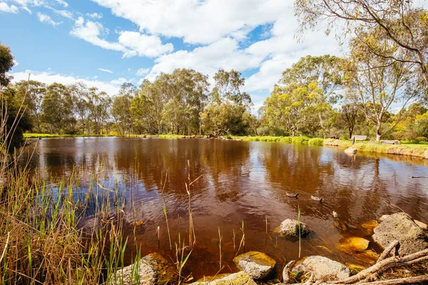 Darebin Parklands in Australië — Stockfoto