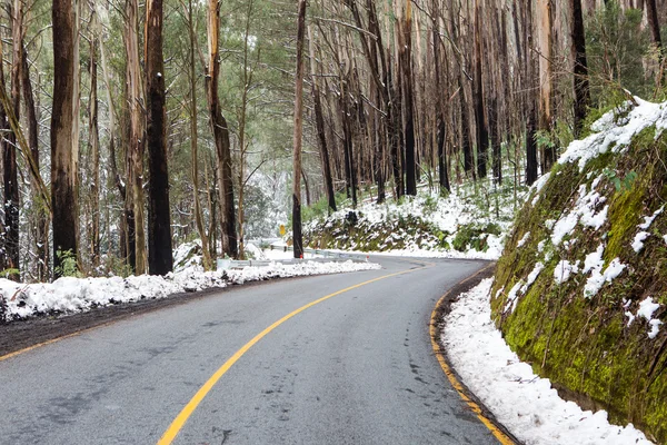 Winderige Australische Weg in Sneeuw — Stockfoto