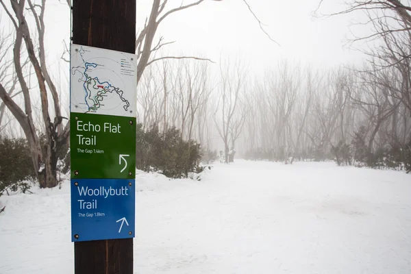 Lake Mountain Ski Trail — Stock Photo, Image