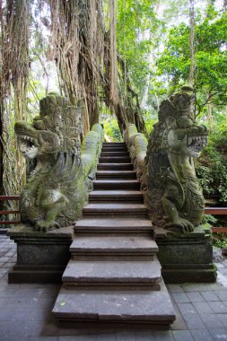 maymun orman Köprüsü