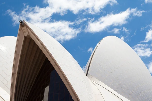 Sydney opera House zbliżenie — Zdjęcie stockowe