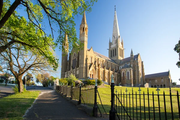 Heliga hjärtkatedralen i Bendigo — Stockfoto