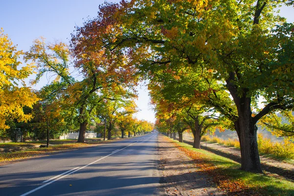 Maldon en automne — Photo