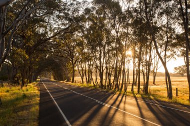 Australian Country Road at Sunset clipart