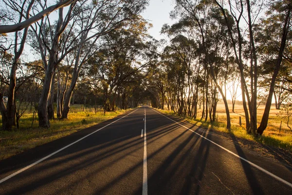在日落时的澳大利亚国家公路。 — 图库照片