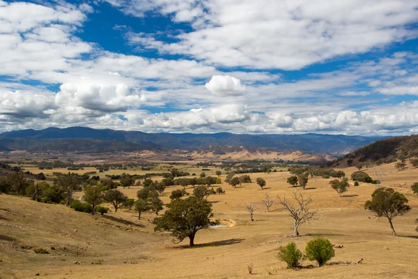 Australian Rural Scene near Snowy Mountains — Stock Photo, Image